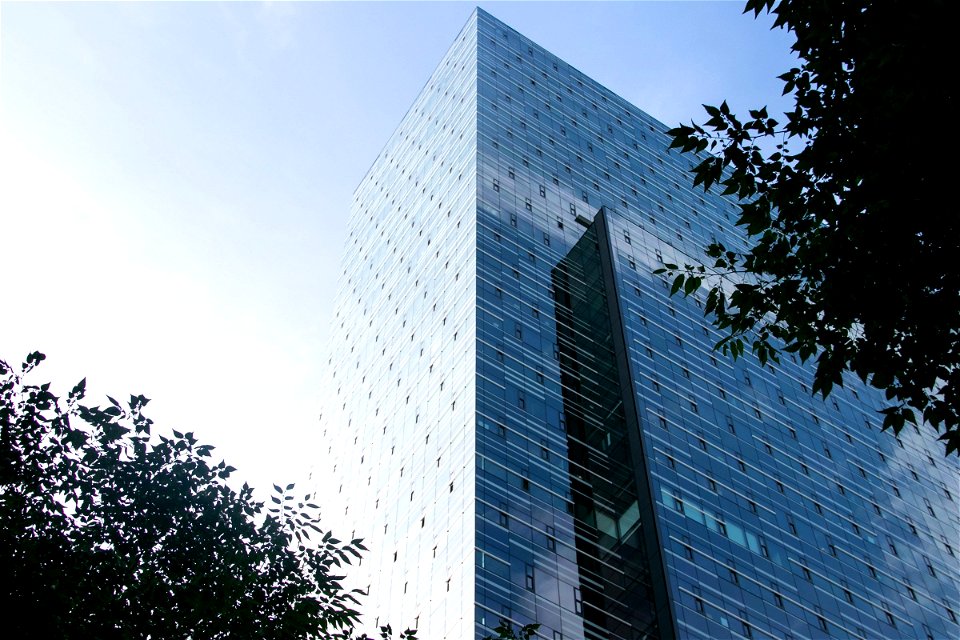 Tall Building And Trees Against Clear Sky photo