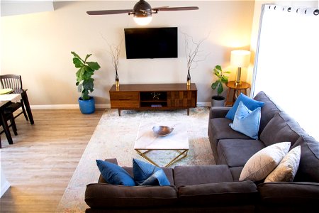 Sofa And Television In Living Space photo