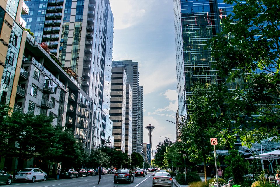 Cars And Tall Buildings In City Street