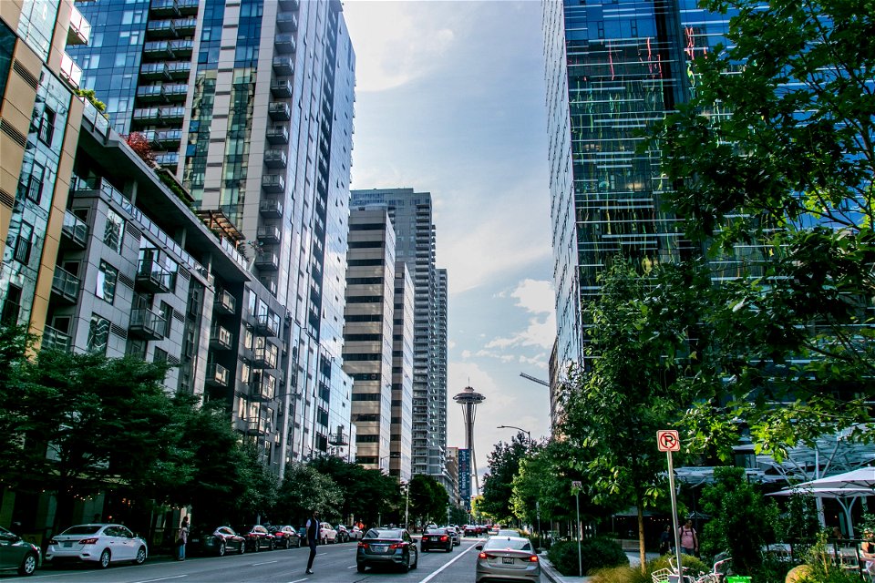 Cars And Tall Buildings In City Street photo