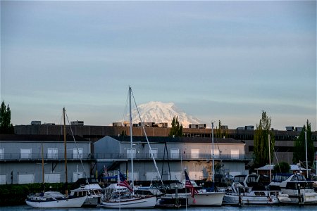 Snow Capped Mountain Behind Boats In Harbor photo