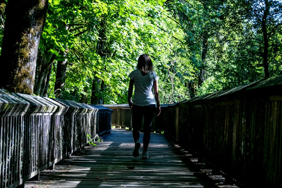 Woman Walking Down Wooden Boardwalk Between Trees