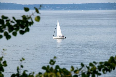 Small Sailboat On Water Near Shore photo