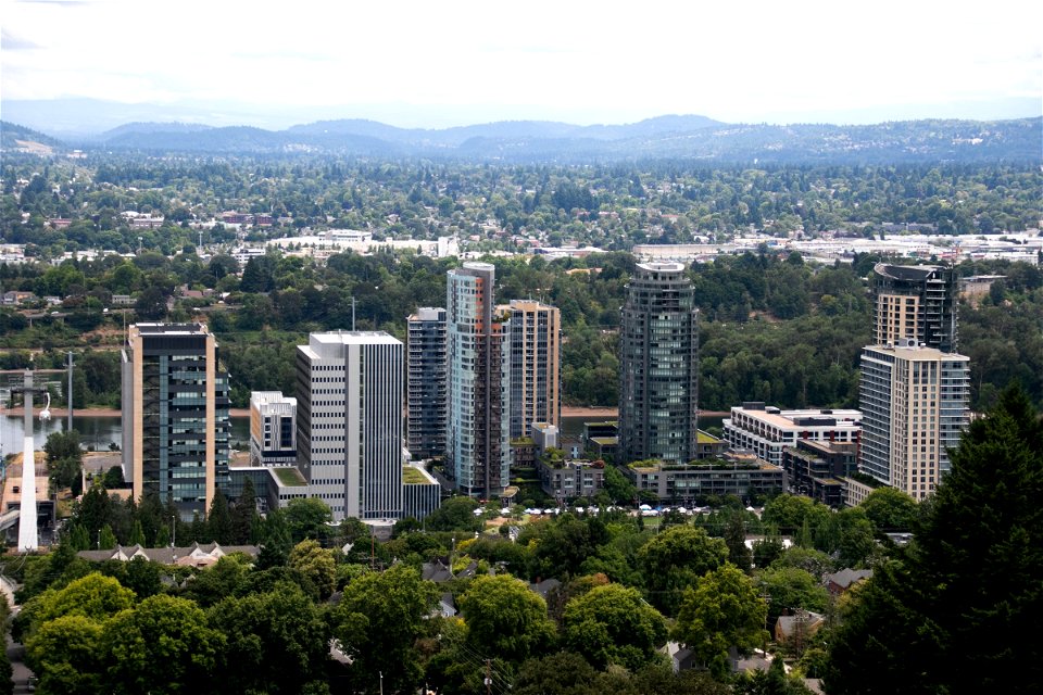 City Buildings Near River Surrounded By Trees