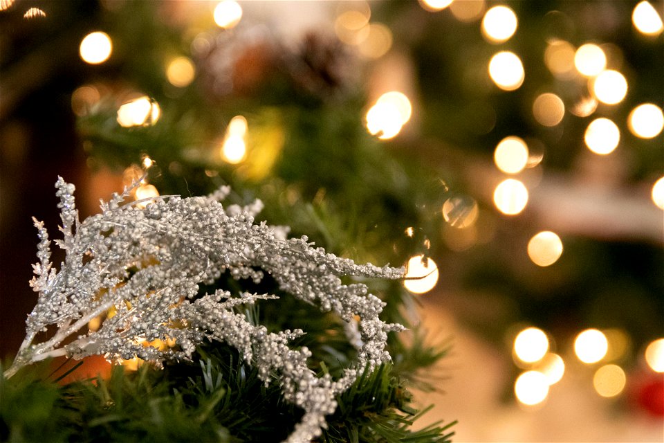 Silver Branch Decoration On Tree