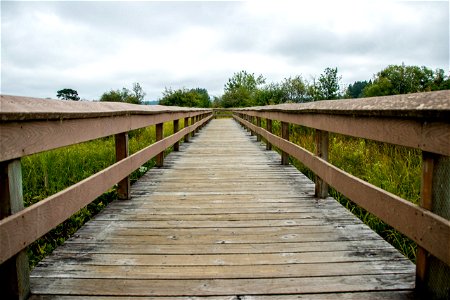 Boardwalk With Railings In Meadow photo