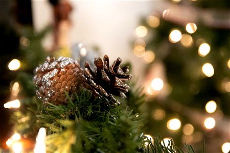 Pine Cone Decoration On Lit Tree