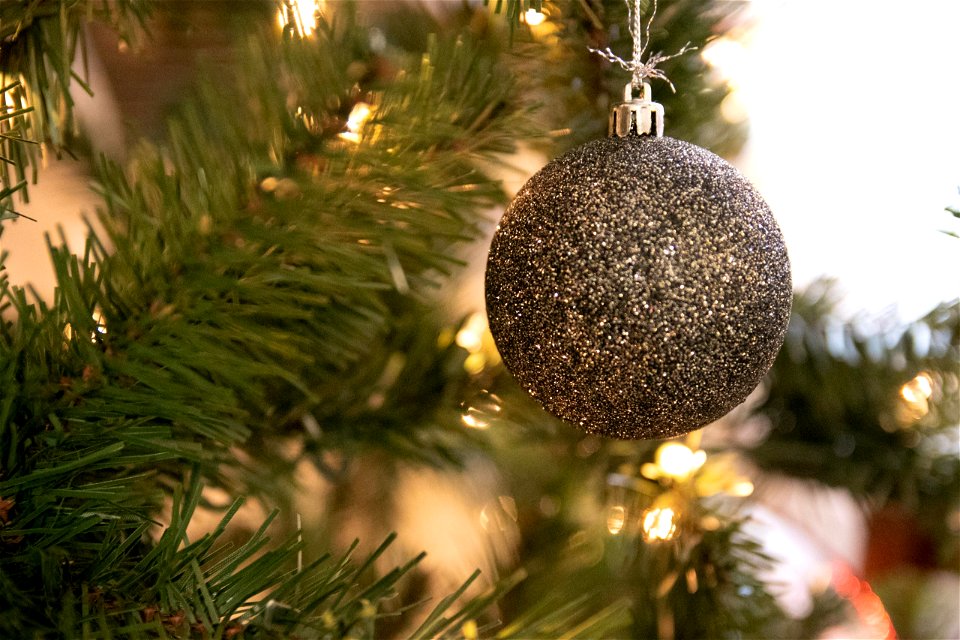 Silver Glitter Bauble Ornament Hanging From Pine Tree