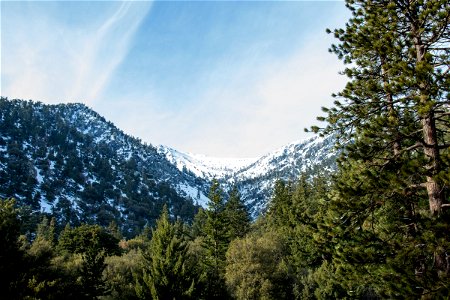 Ice Covered Mount Baldy Behind Forest Trees photo