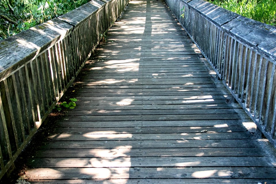 Old Wooden Boardwalk With Railings Between Greenery