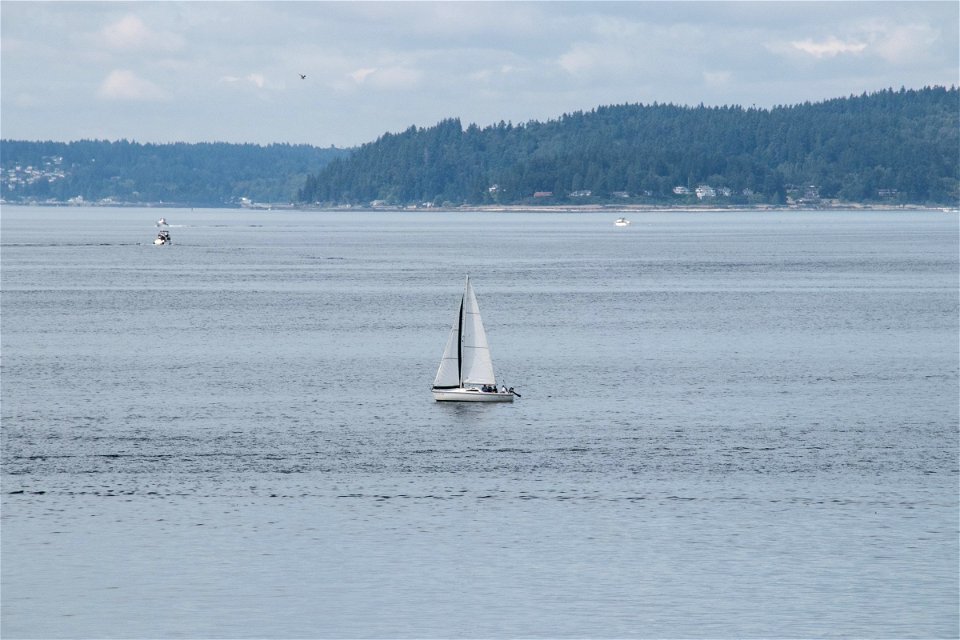 Sailboat On Water Near Coast photo