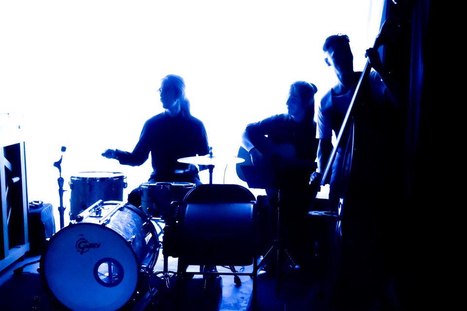 Performers With Musical Instruments In Concert