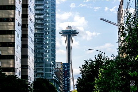Space Needle Tower Behind Buildings In Seattle photo