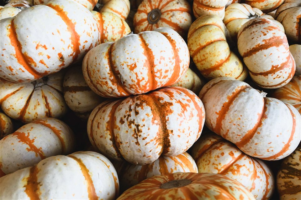 Pile Of Orange Striped White Pumpkins