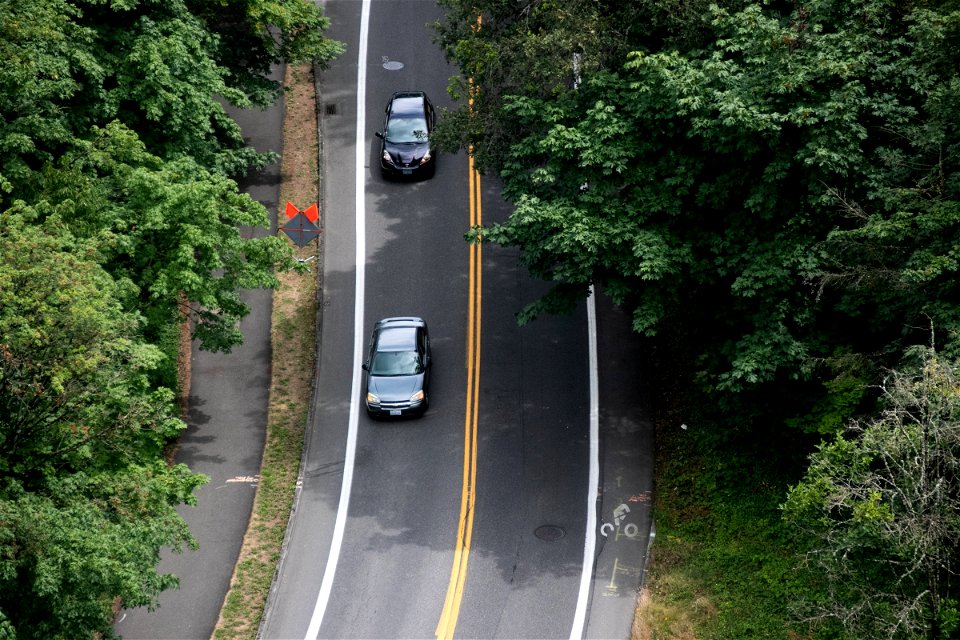 Two Cars In Road Between Trees