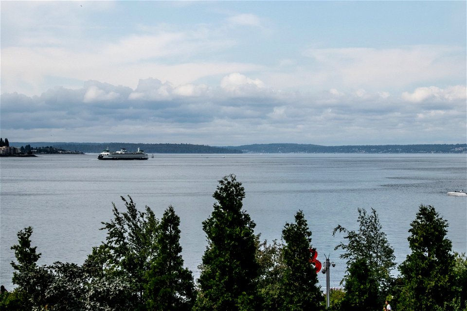 Ferry On Water Beyond Trees On Shore
