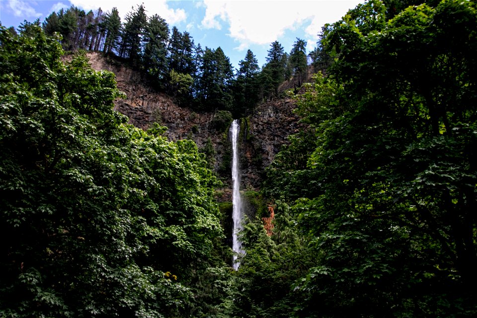 Mountain Waterfall In Forest photo