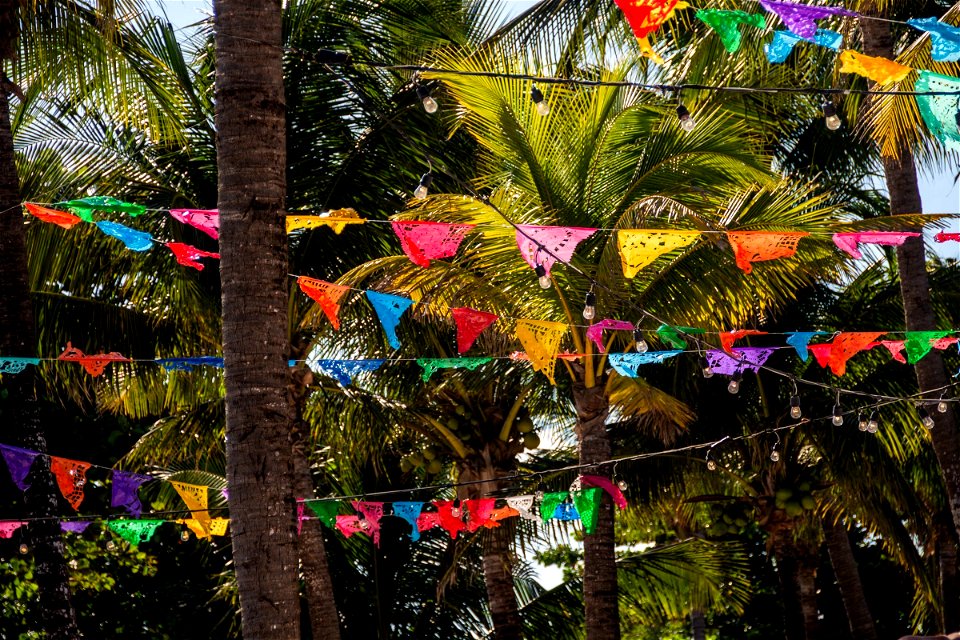 Triangle Banner Garlands Among Palm Trees photo