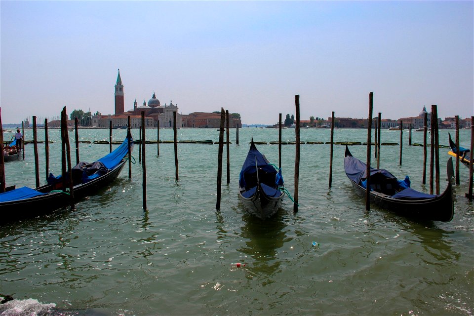 Gondolas Parked Between Wooden Poles photo