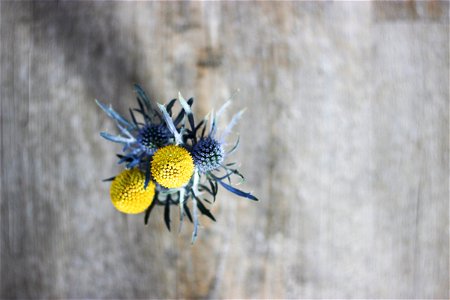 Exotic Flowers On Wooden Surface photo