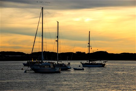 Sailboats Near Land During Sunset photo