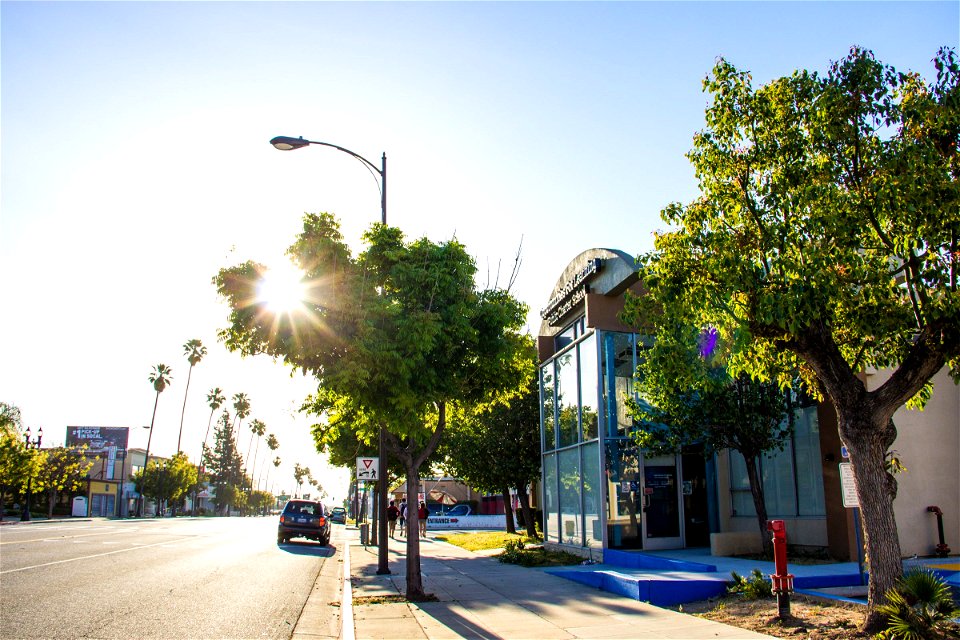 School Building On Street Under Bright Sun
