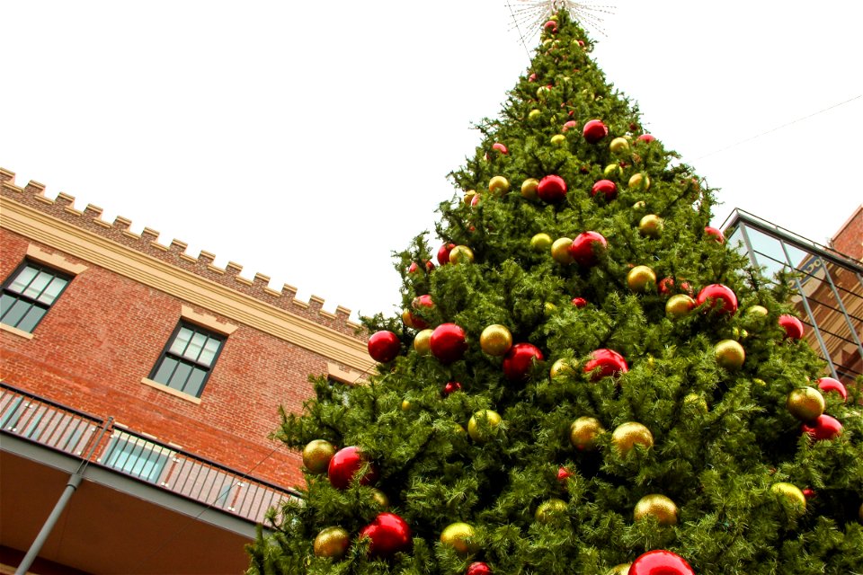 Decorated Christmas Tree Near Building