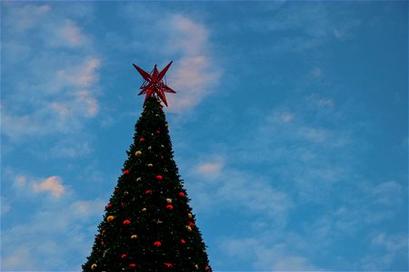Decorated Christmas Tree Against Sky photo