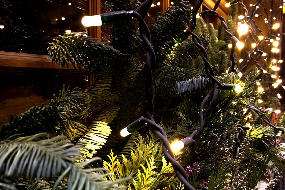 Fairy Lights On Christmas Decoration