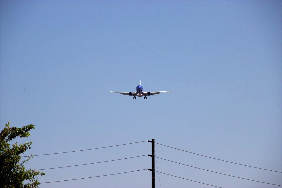 Plane In Distance Above Power Lines photo