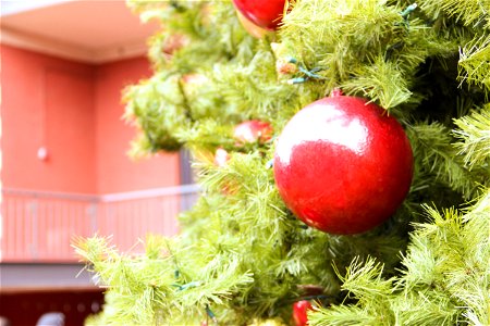 Ornaments On Christmas Tree photo