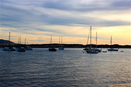 Sailboats Near Shore In Evening photo