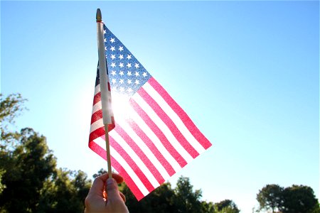 Hand Holding American Flag photo