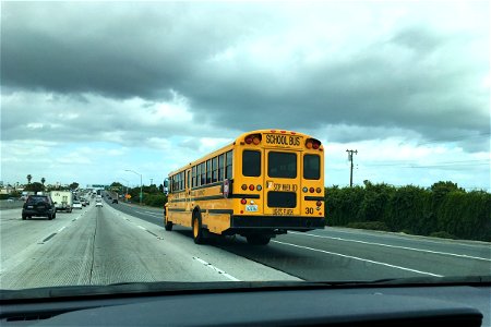 School Bus On Freeway photo