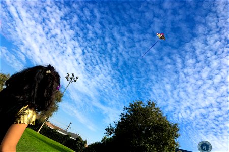 Girl Flying Kite photo