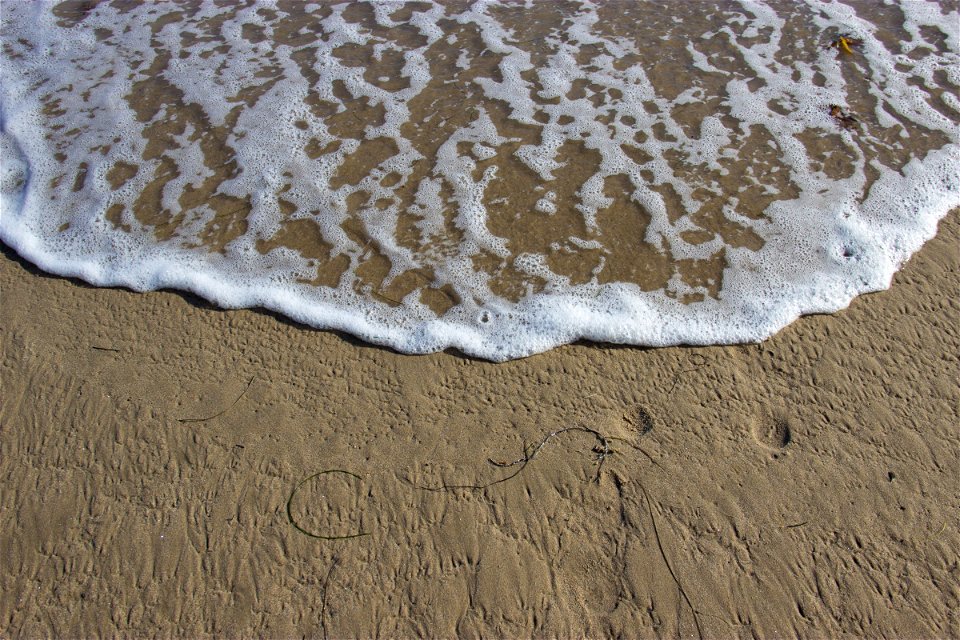 Wave Washing Up on Beach Shore