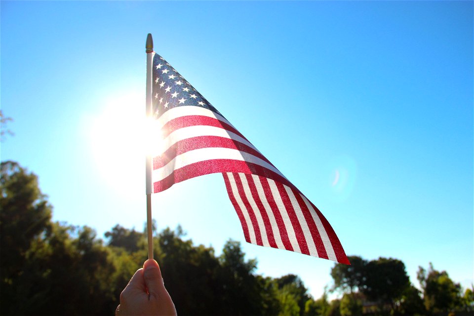 Hand Holding American Flag in Sun