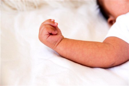 Hand of Infant Baby