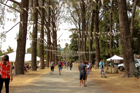 People Walking on Path at Festival photo