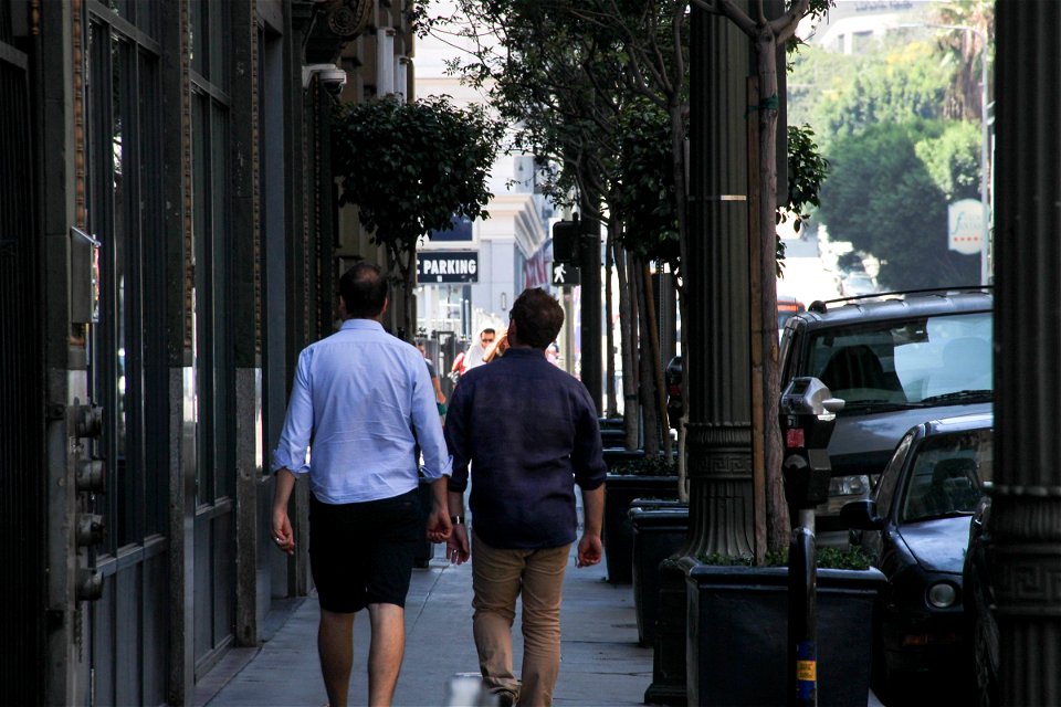 Men Walking on Street