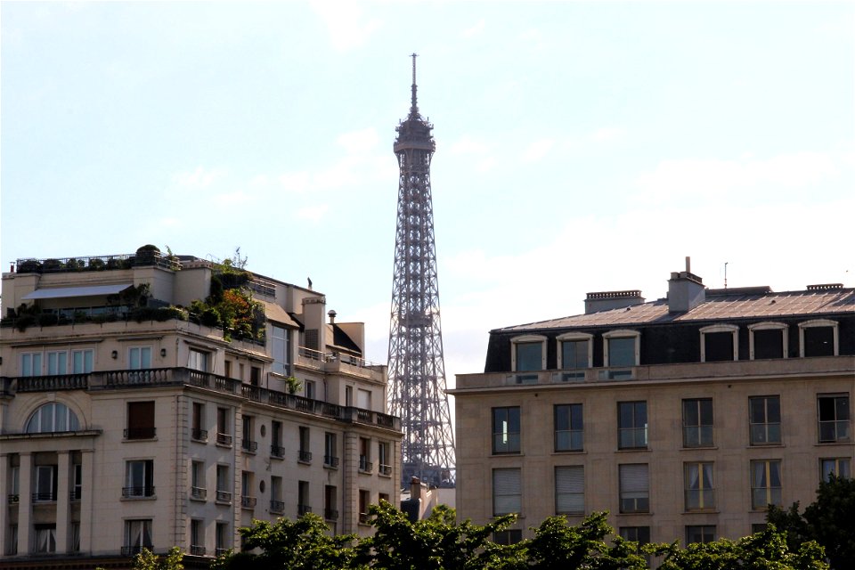 Eiffel Tower Behind Buildings photo