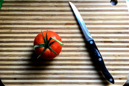 Tomato & Knife on Cutting Board photo