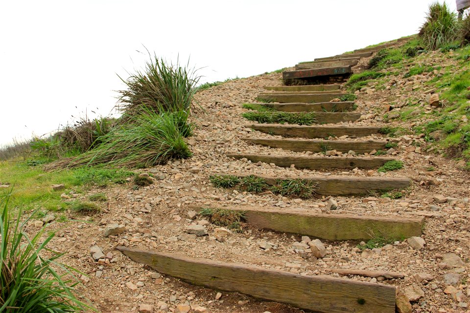 Wooden Steps Up Hill