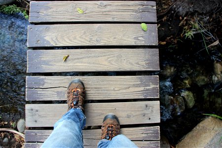 Feet Walking on Wood Board Path photo
