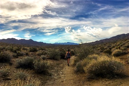 Woman Walking in by Bushes in Desert photo