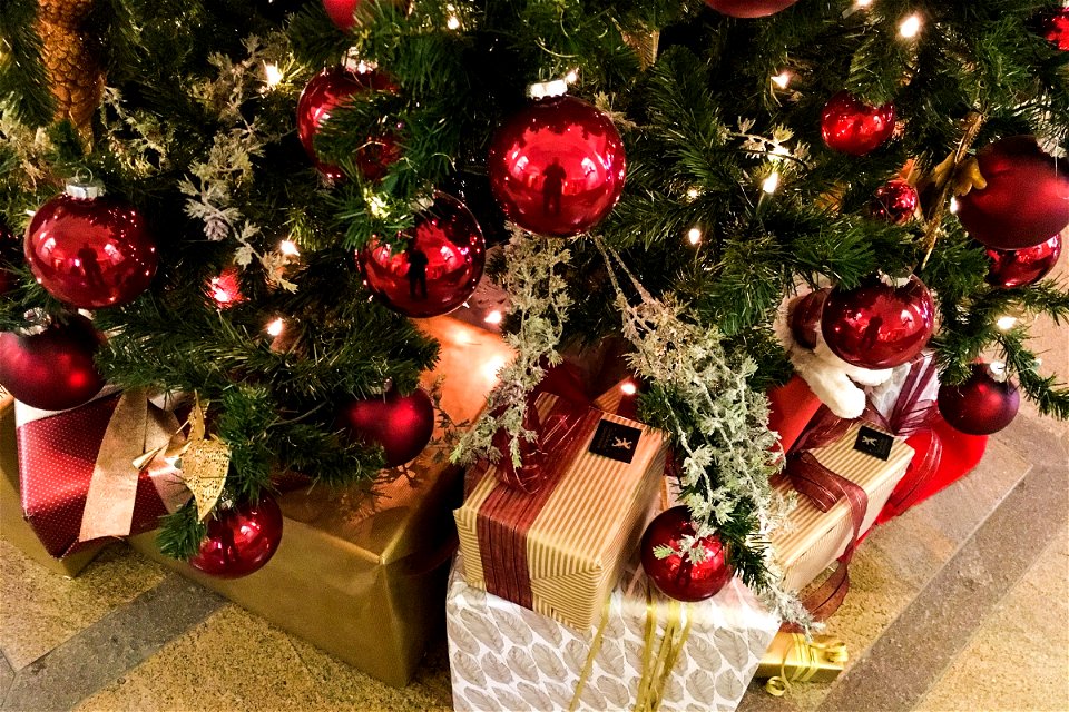Presents Under Christmas Tree photo