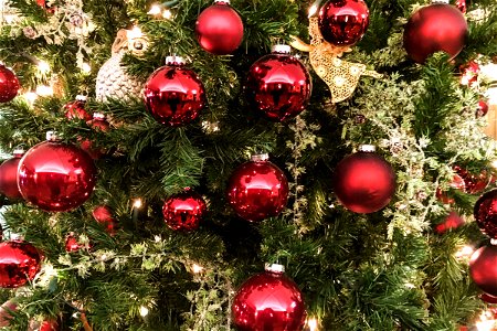 Closeup of Red Ball Ornaments on Christmas Tree photo
