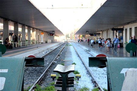 Train Tracks at Train Station photo