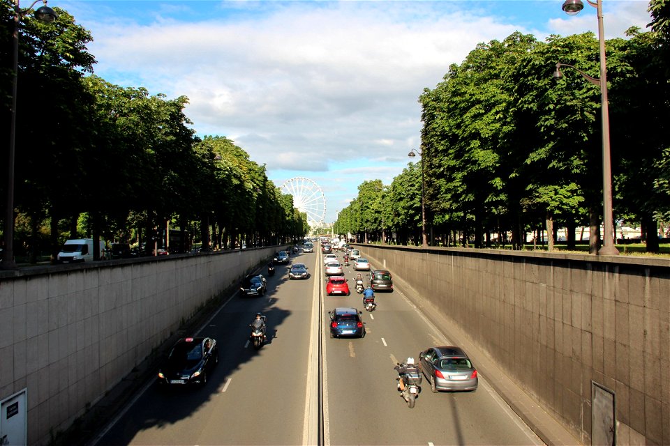 Cars on Street Lined with Trees