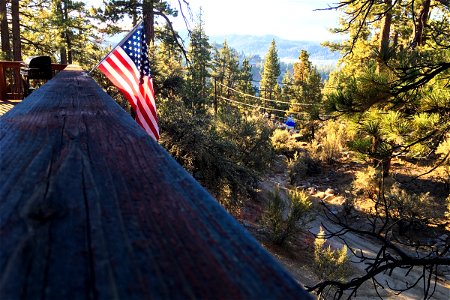 American Flag on Balcony in the Forest